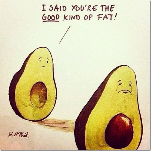 Avocados High In Fat 73