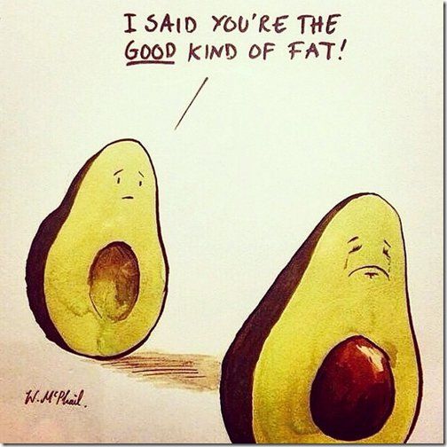 Avocado And Fat 7