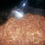 Spicy Pulled Slow Cooked Chicken