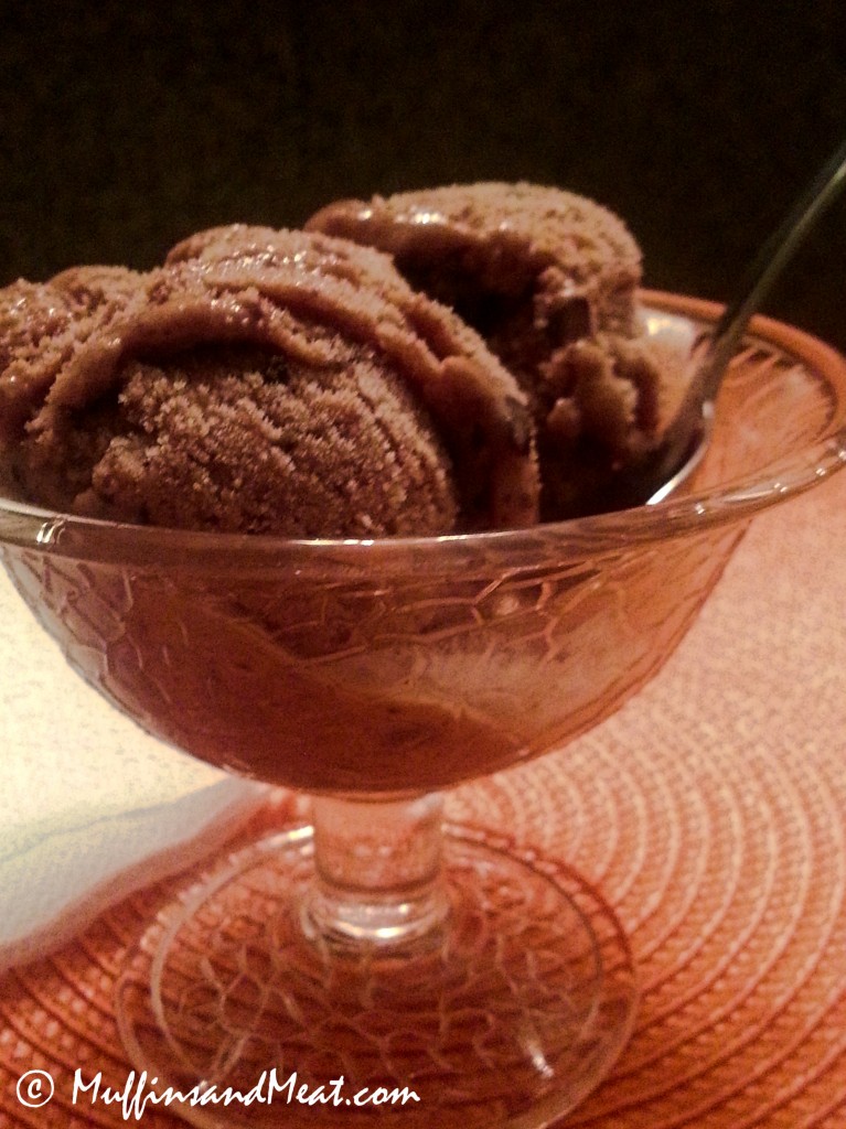 Chocolate Chocolate Chip Frozen Yogurt